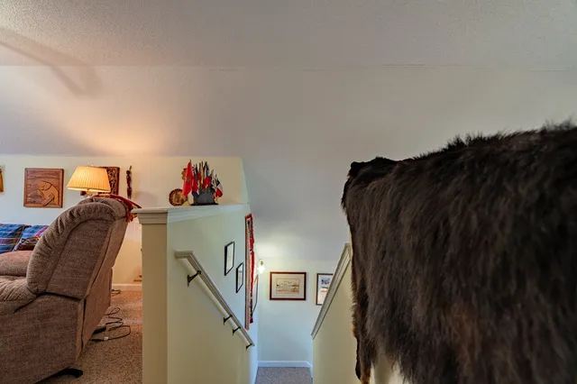 $750,000 | 43 Little Beasley, Blairsville, GA 30512