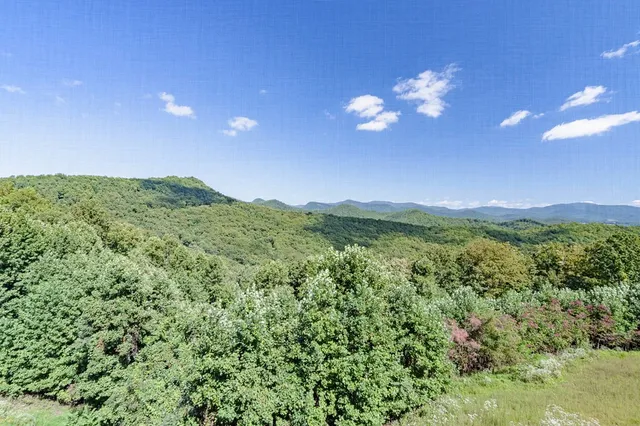 $750,000 | 43 Little Beasley, Blairsville, GA 30512