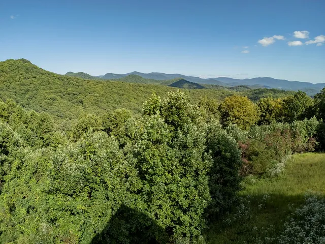 $750,000 | 43 Little Beasley, Blairsville, GA 30512