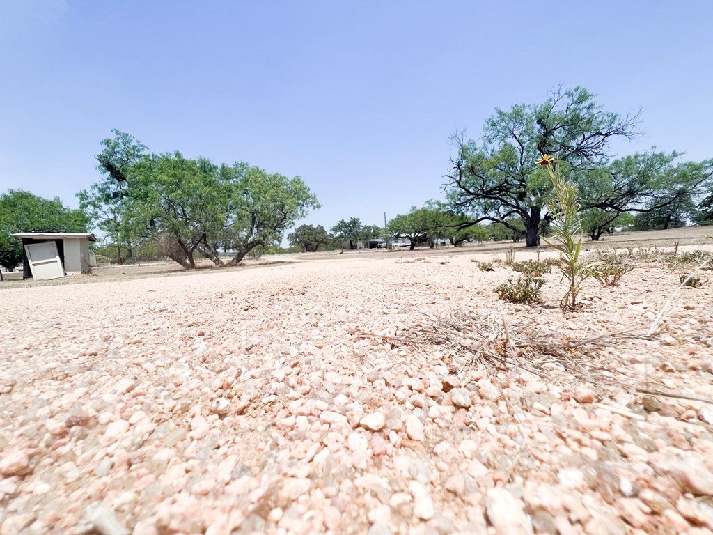 110 Cortez Buchanan Dam, TX 78609 - Photo 3 of 17 a view of a dry yard with trees