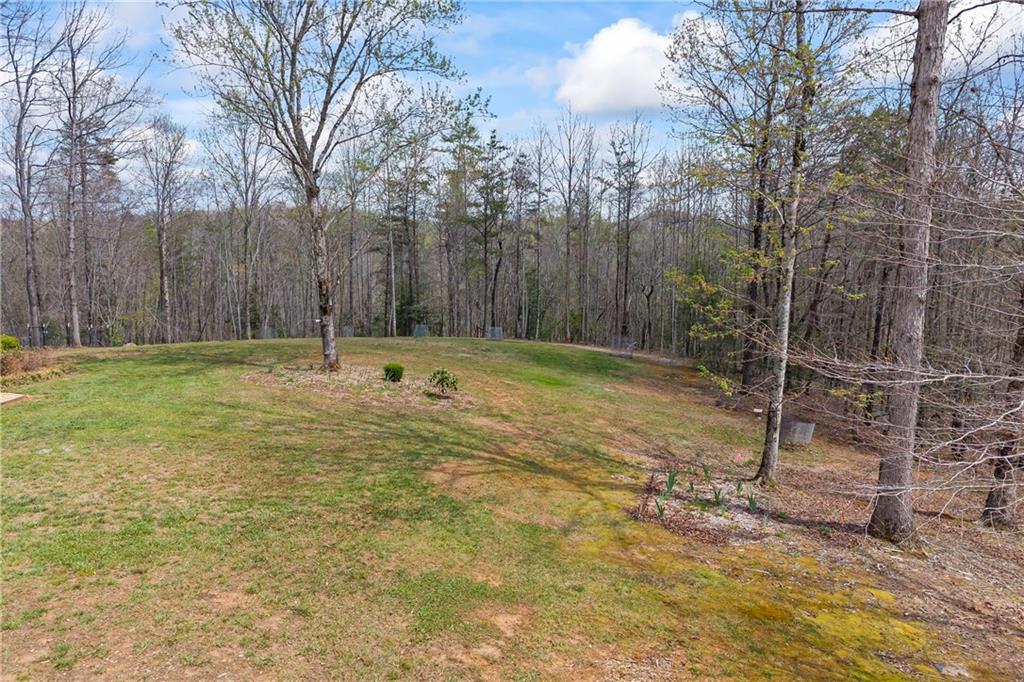5240 Highway 17 Clarkesville, GA 30523 - Photo 16 of 82