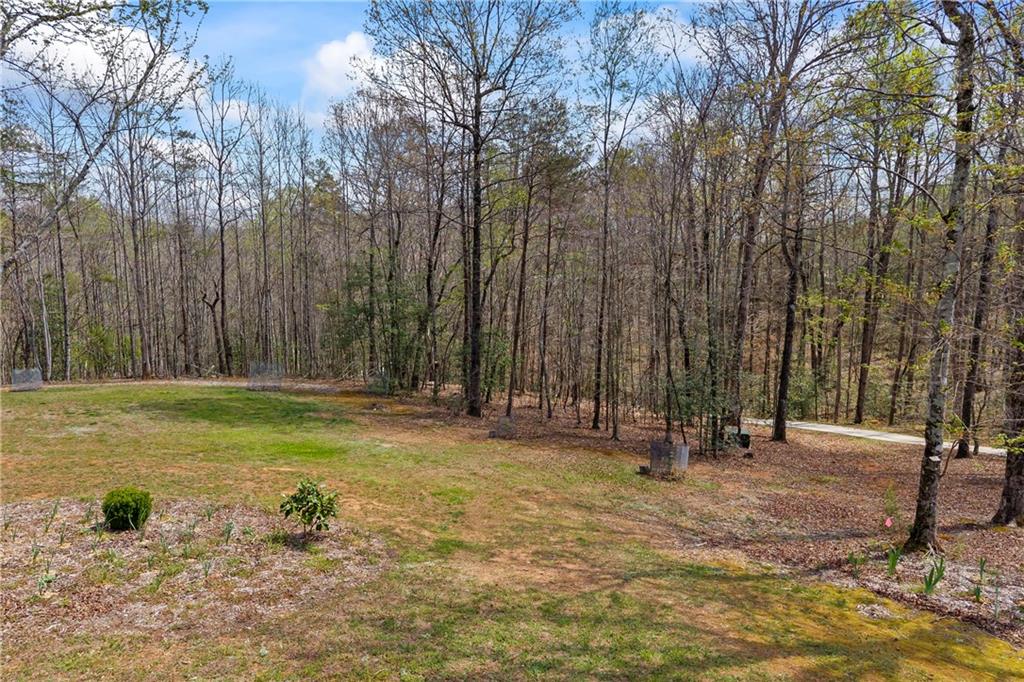 5240 Highway 17 Clarkesville, GA 30523 - Photo 17 of 82