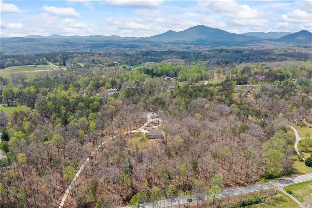5240 Highway 17 Clarkesville, GA 30523 - Photo 75 of 82 a view of a lush green hillside and a houses