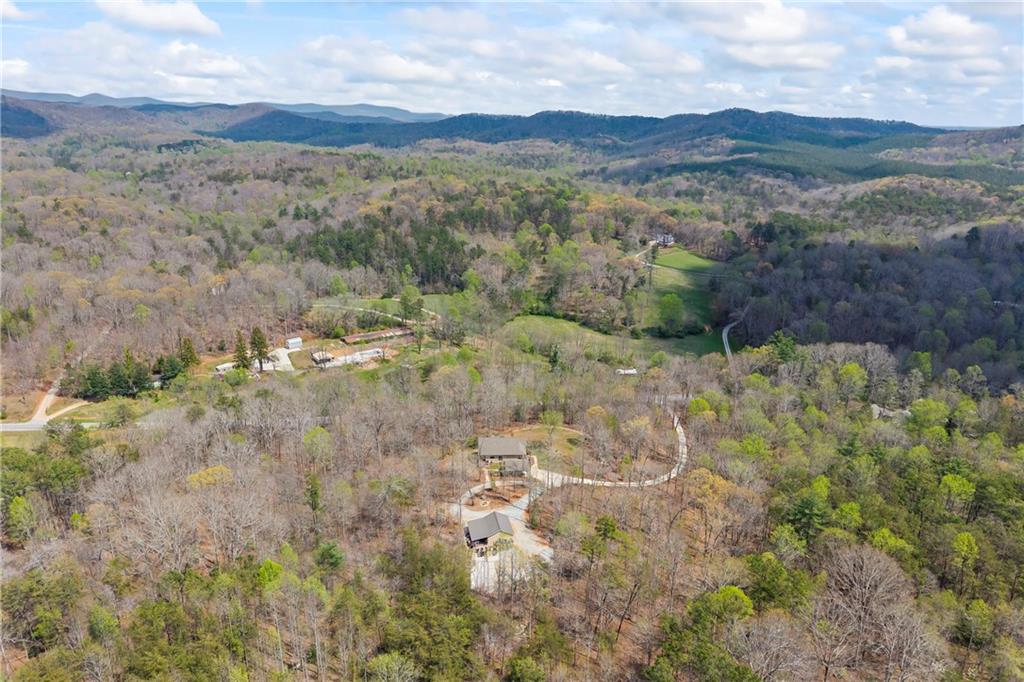 5240 Highway 17 Clarkesville, GA 30523 - Photo 80 of 82 a view of mountain with trees in background