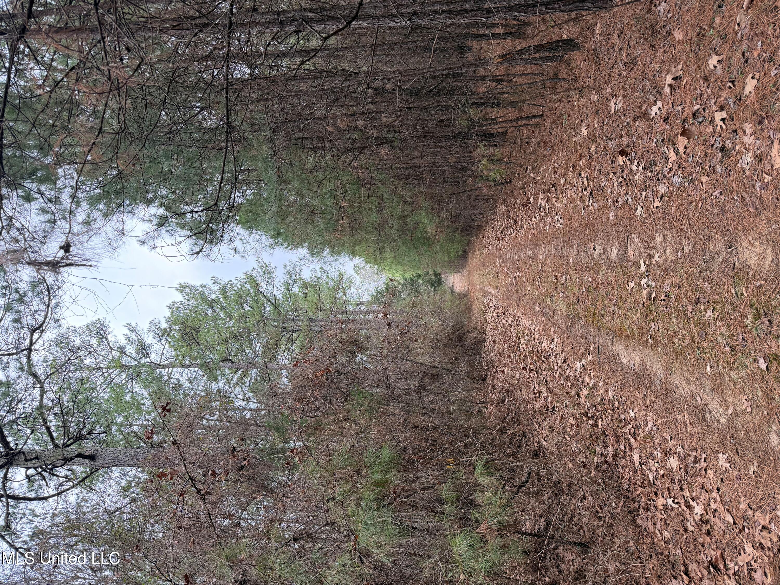 Boundary Line Access Rd