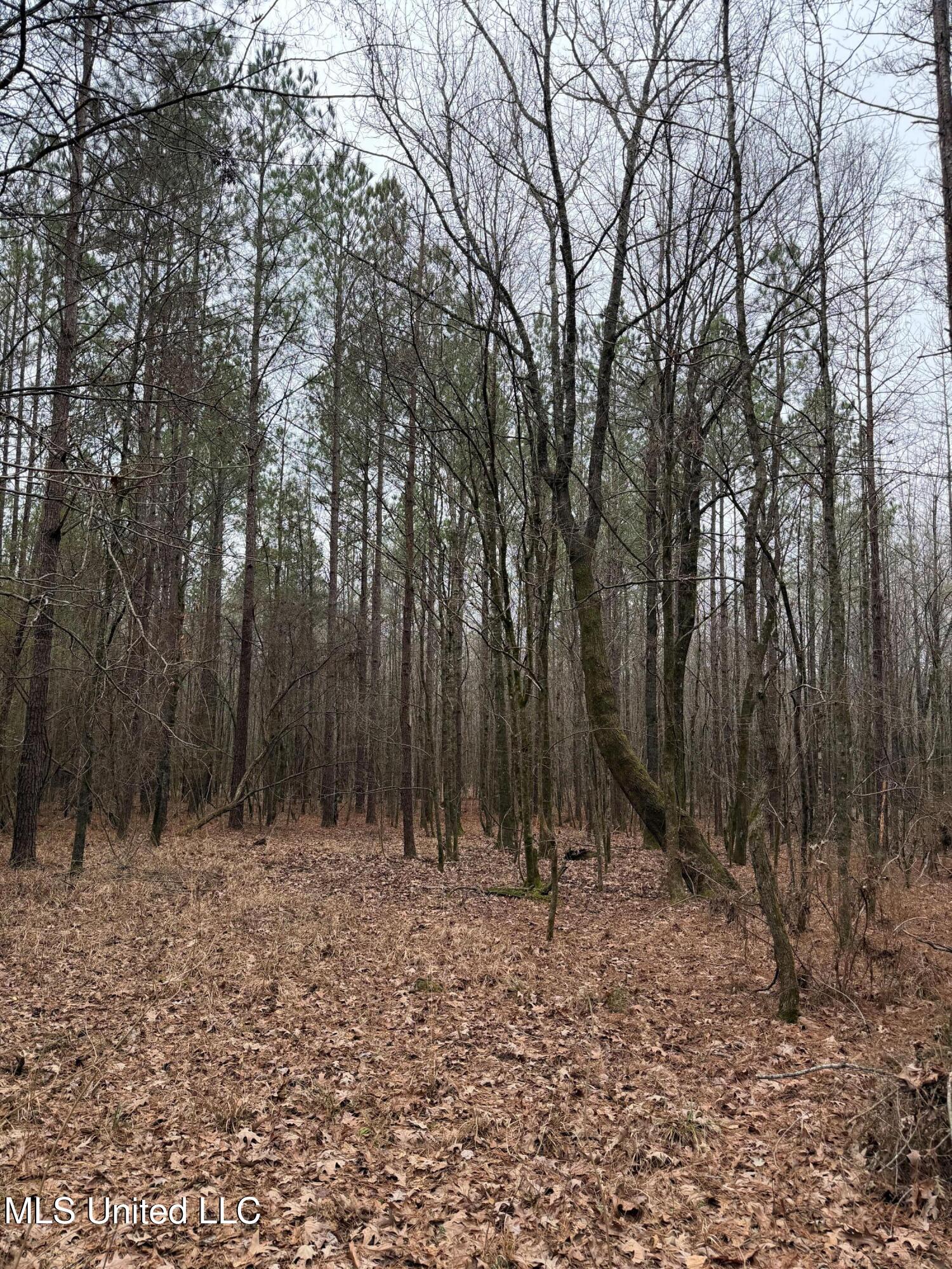 Bodka Valley Road Scooba, MS 39358 - Photo 13 of 24 Photo Feb 17 2026, 11 15 08 AM