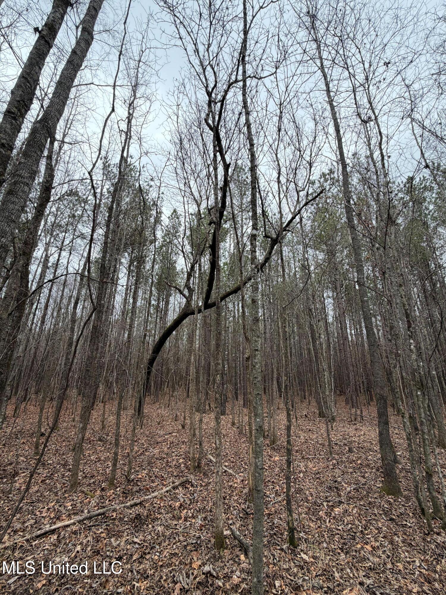 Bodka Valley Road Scooba, MS 39358 - Photo 21 of 24 Photo Feb 17 2026, 11 29 27 AM