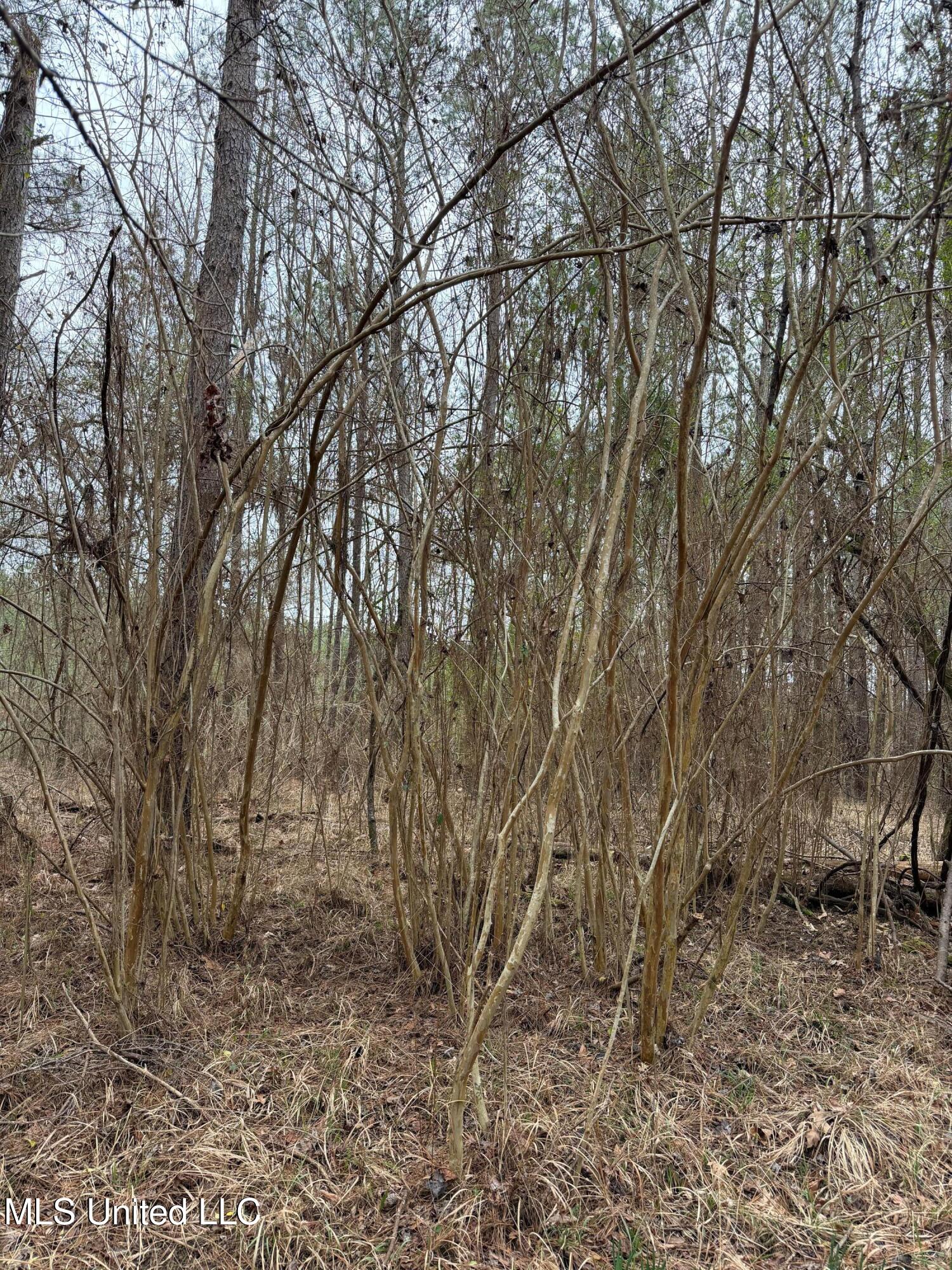 Bodka Valley Road Scooba, MS 39358 - Photo 24 of 24 Photo Feb 17 2026, 11 41 42 AM