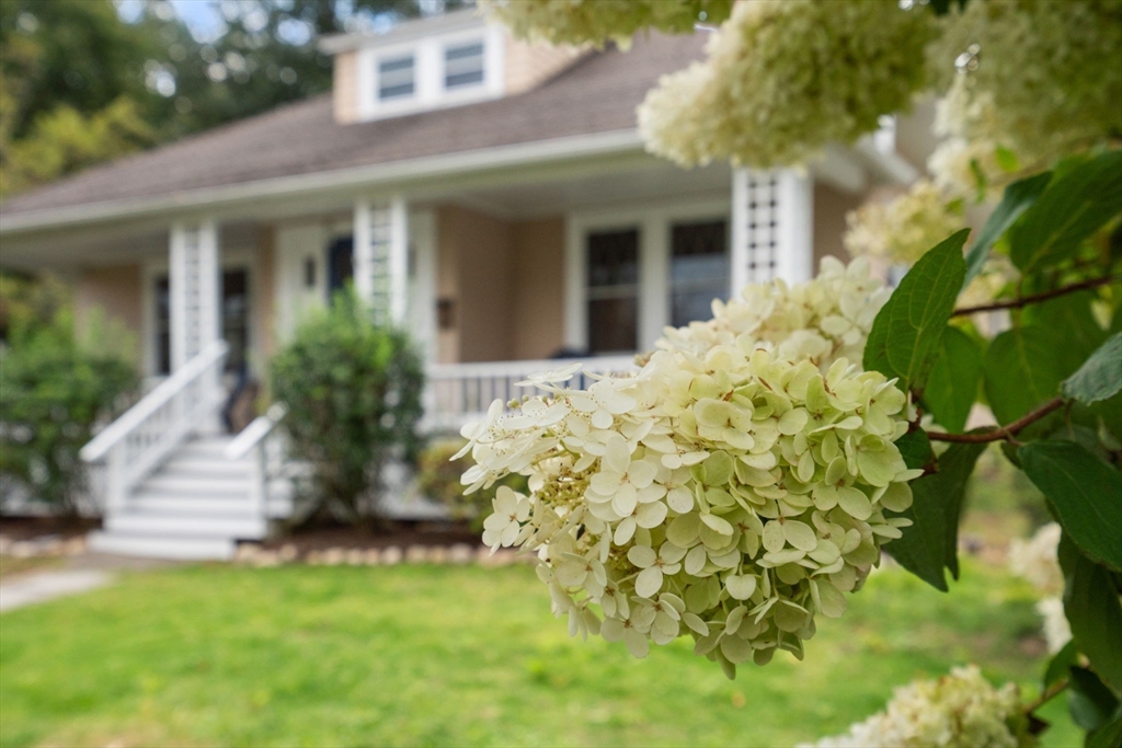 44 Norfolk Street Needham, MA 02492 - Photo 2 of 28 a view of a house with a yard and plants