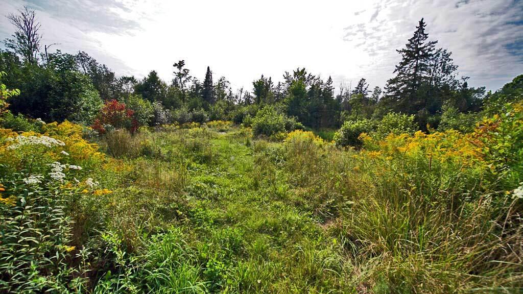 122 Wilcox Road Orient, ME 04471 - Photo 70 of 90 122-wilcox-rd-cary-me-18