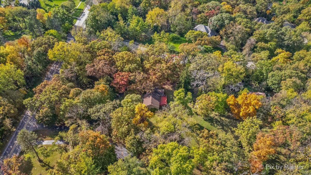 612-3 Three Oaks Road Cary, IL 60013 - Photo 40 of 48 a view of a tree