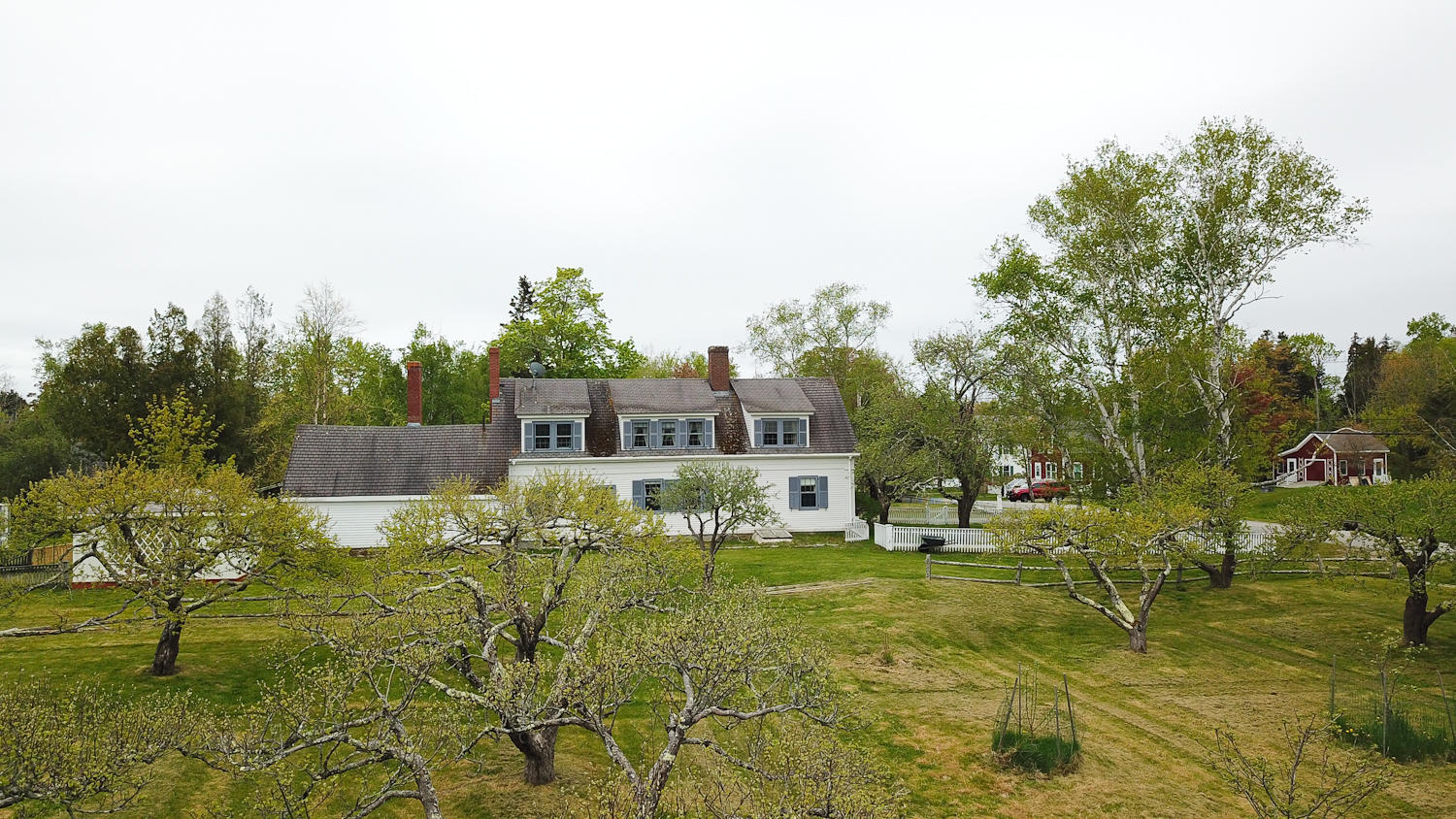 442 Pendleton Point Road Islesboro, ME 04848 - Photo 4 of 39 Auchincloss Yellow-4-(ZF-3848-51279-1-00