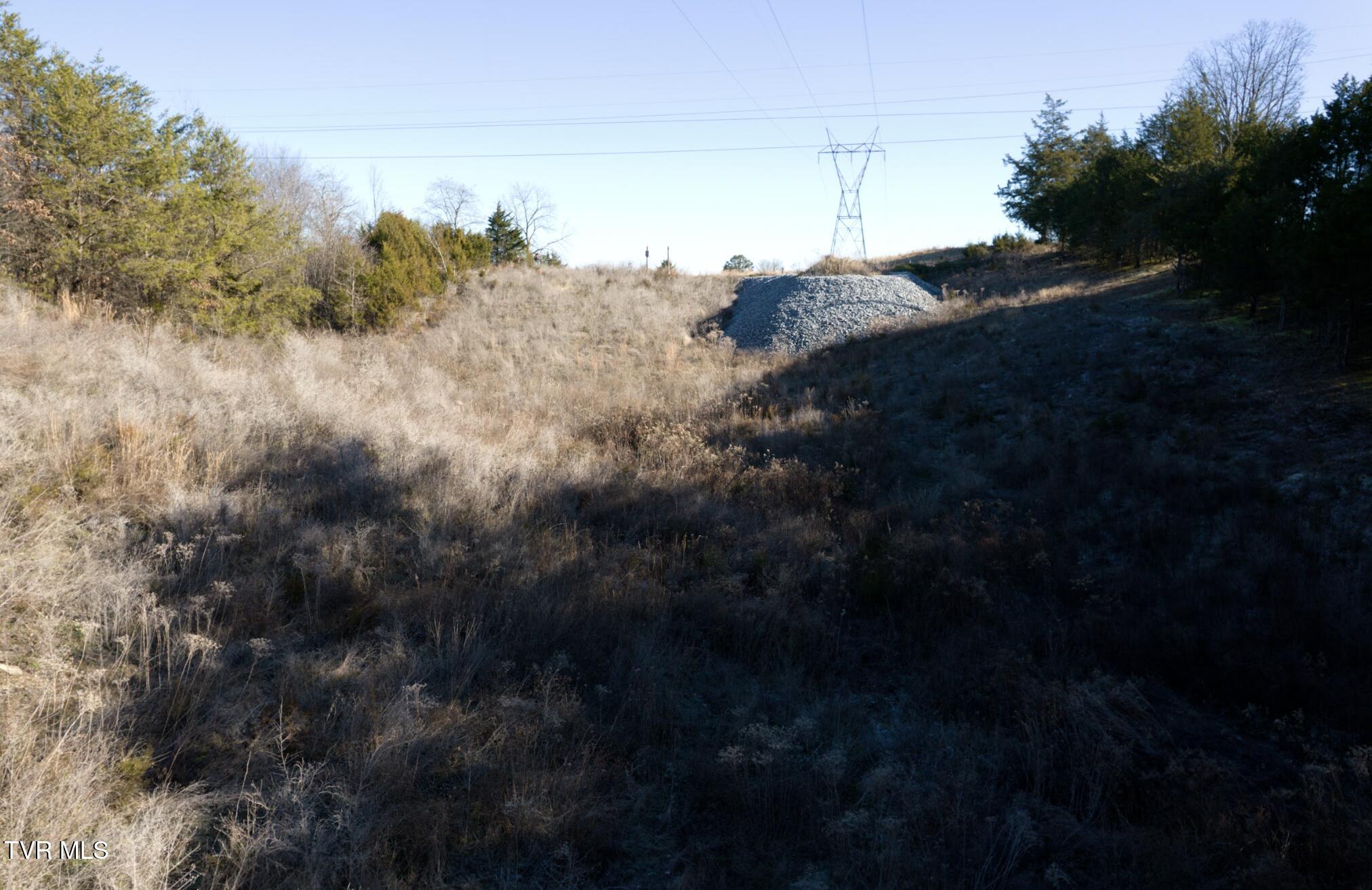 0 Oak Hills Road Mosheim, TN 37818 - Photo 4 of 5 djdemers1_210266187564964_64181744827742