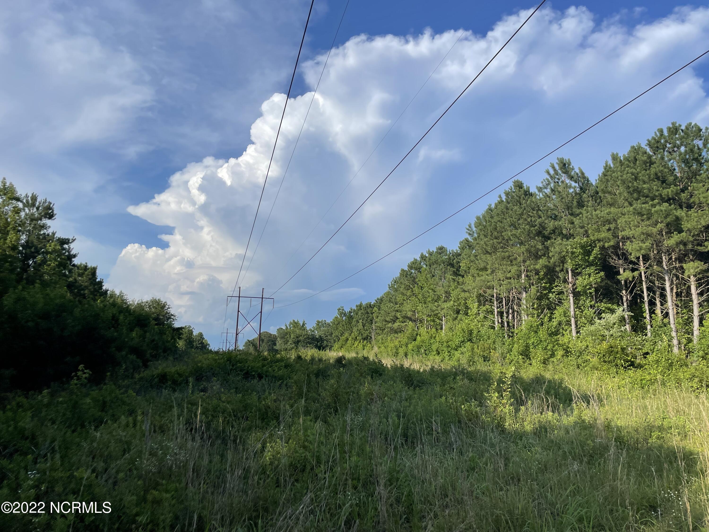 7106 Wire Grass Road Orrum, NC 28369 - Photo 22 of 28 IMG_4687