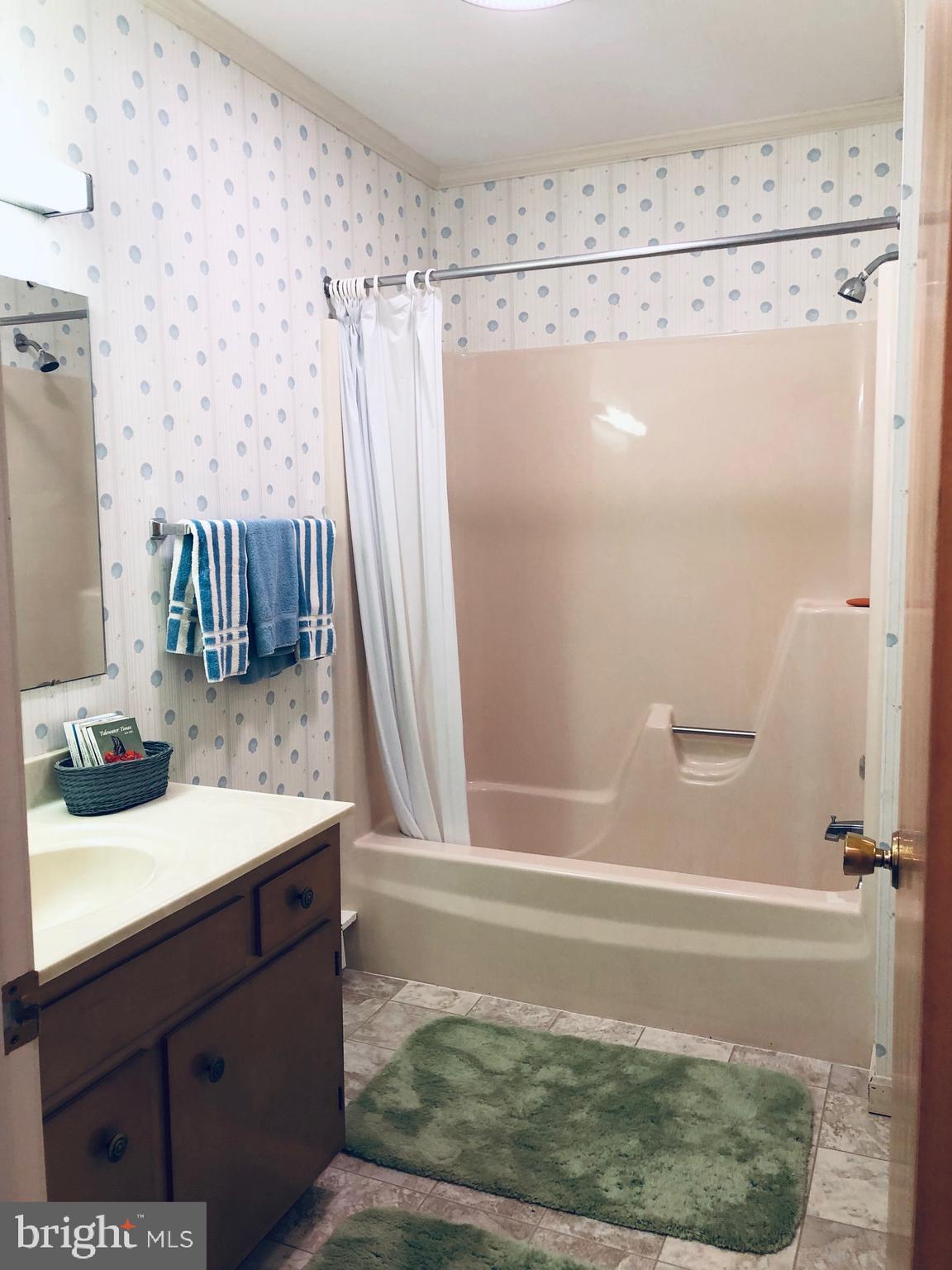 4728 Tyaskin Road Tyaskin, MD 21865 - Photo 27 of 48 Hall Full Bath