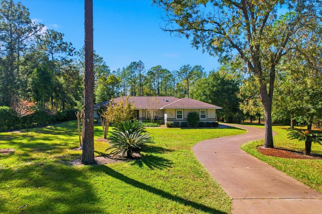 20781 Southwest 90th Loop Dunnellon, FL 34431 - Photo 30 of 46 a view of a patio with a table and chairs under an umbrella