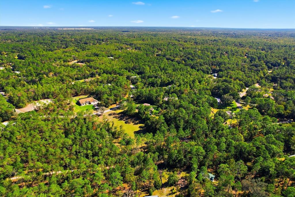 20781 Southwest 90th Loop Dunnellon, FL 34431 - Photo 38 of 46 an aerial view of residential houses with outdoor space and trees