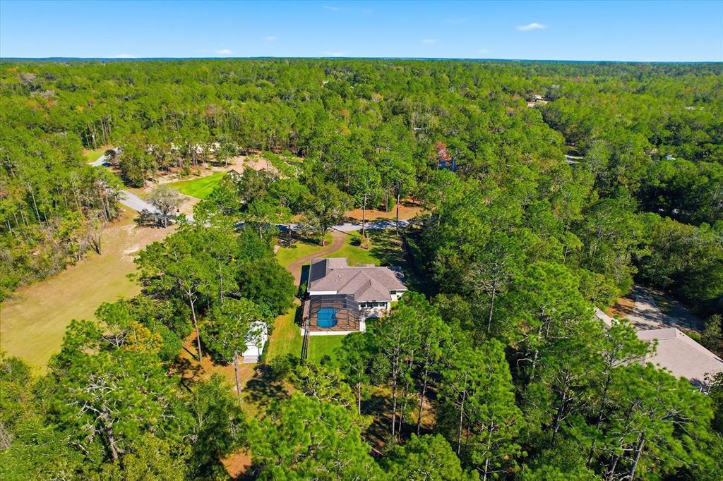 20781 Southwest 90th Loop Dunnellon, FL 34431 - Photo 40 of 46 a view of a yard