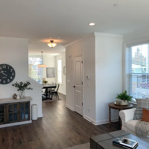 a living room with furniture potted plant and a window