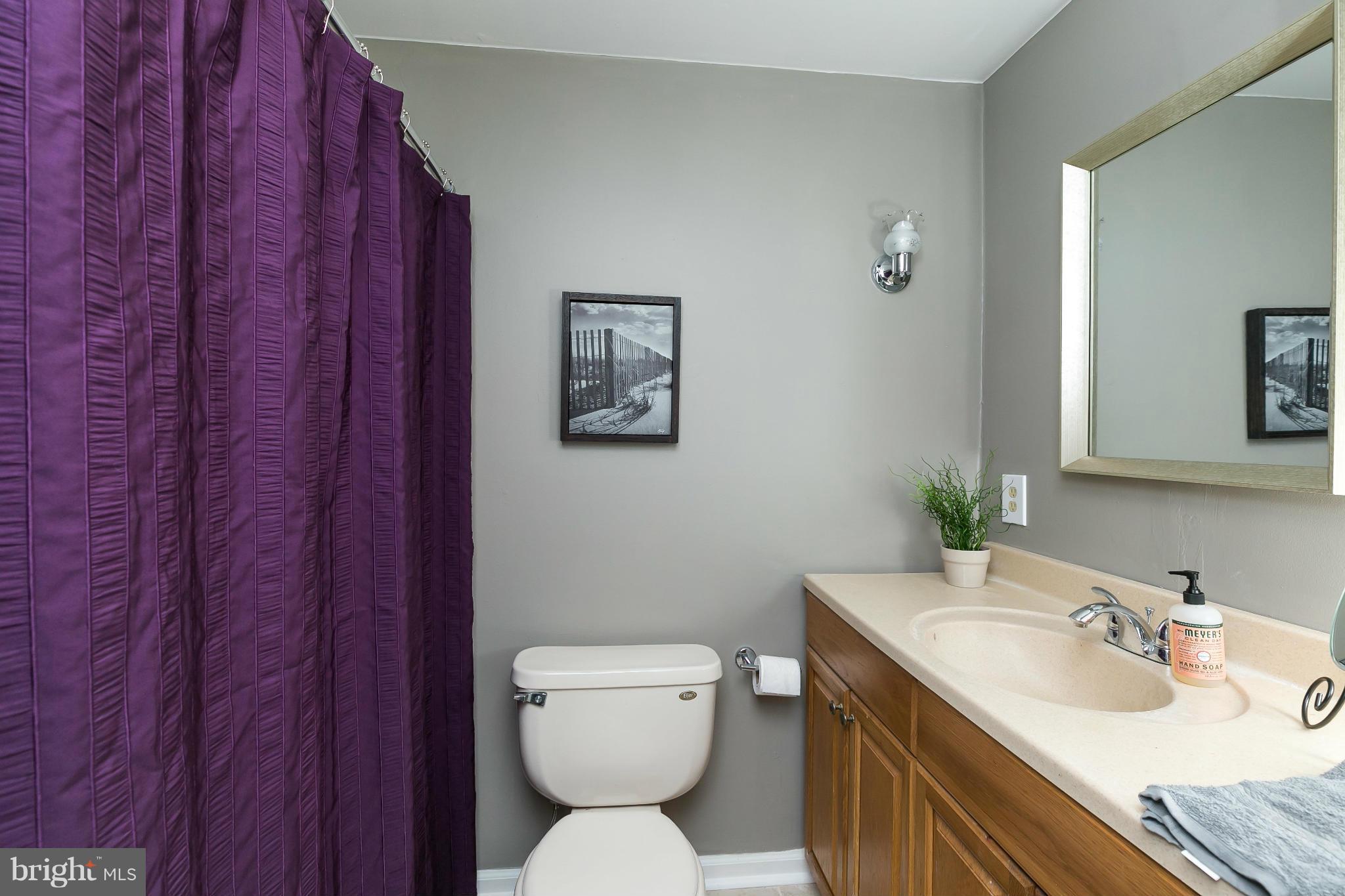 661 St Georges Station Road Reisterstown, MD 21136 - Photo 20 of 30 Bath