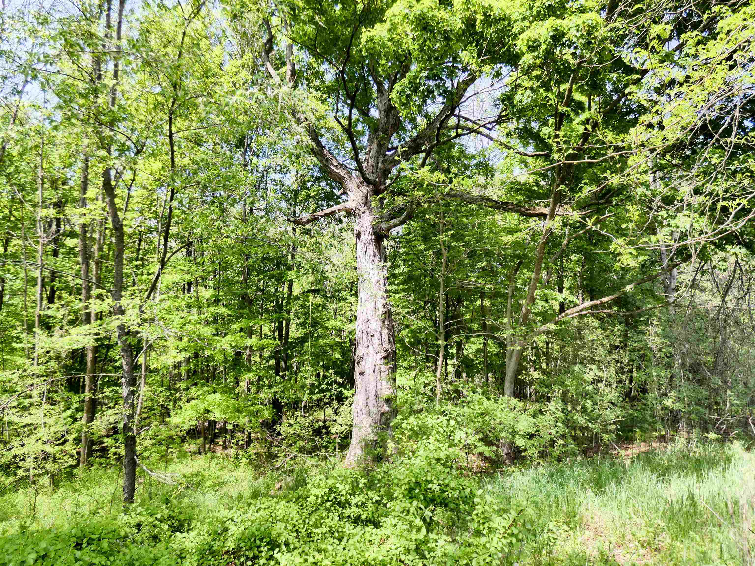 455 Bialozynski Road Pulaski, WI 54162 - Photo 47 of 54