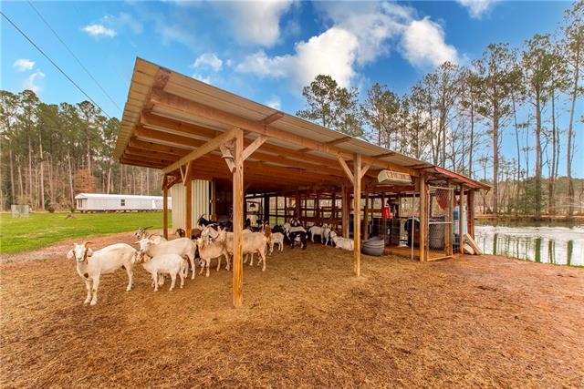 32071 Horseshoe Road North Independence, LA 70443 - Photo 21 of 50