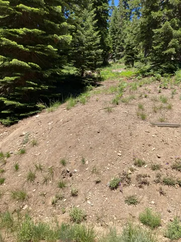 $56,500 | 179 Norton Meadows Road, Bucks Lake, CA 95971