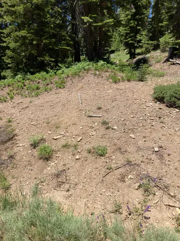 $56,500 | 179 Norton Meadows Road, Bucks Lake, CA 95971