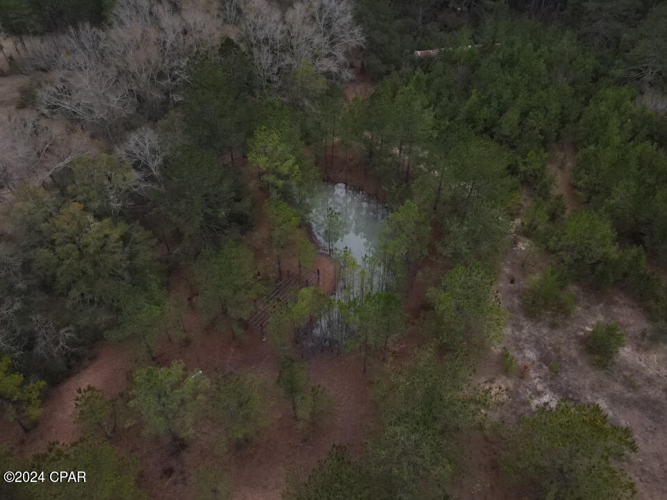1479 Will Lee Road Bonifay, FL 32425 - Photo 21 of 23 Gallery Image 21