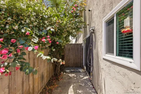 a flower plants in front of a house
