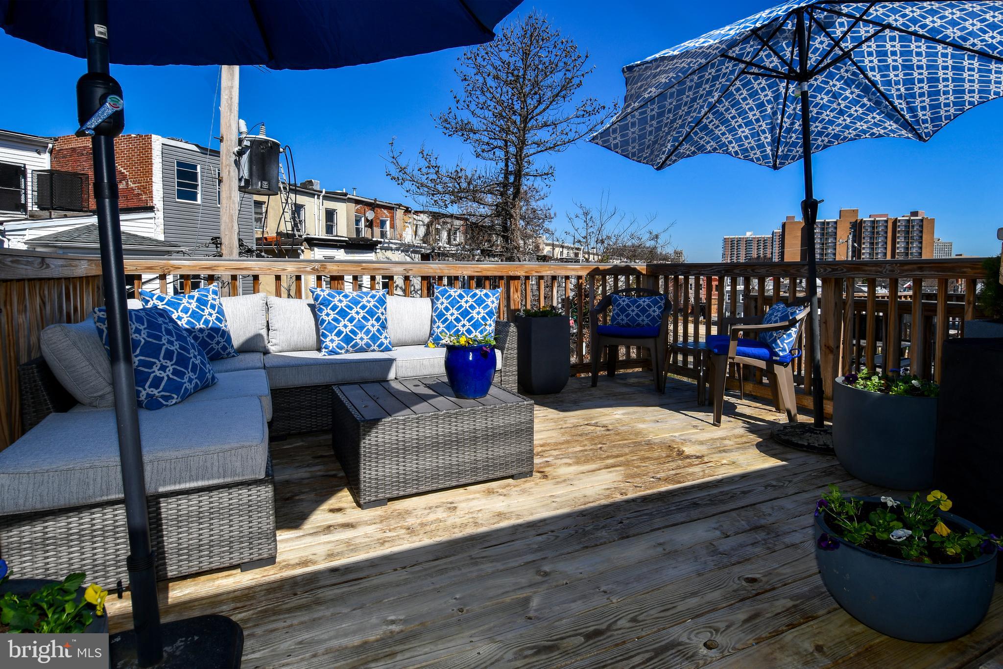 846 Harlem Avenue Baltimore, MD 21201 - Photo 6 of 58 Fabulous Roof Top off Primary Suite level