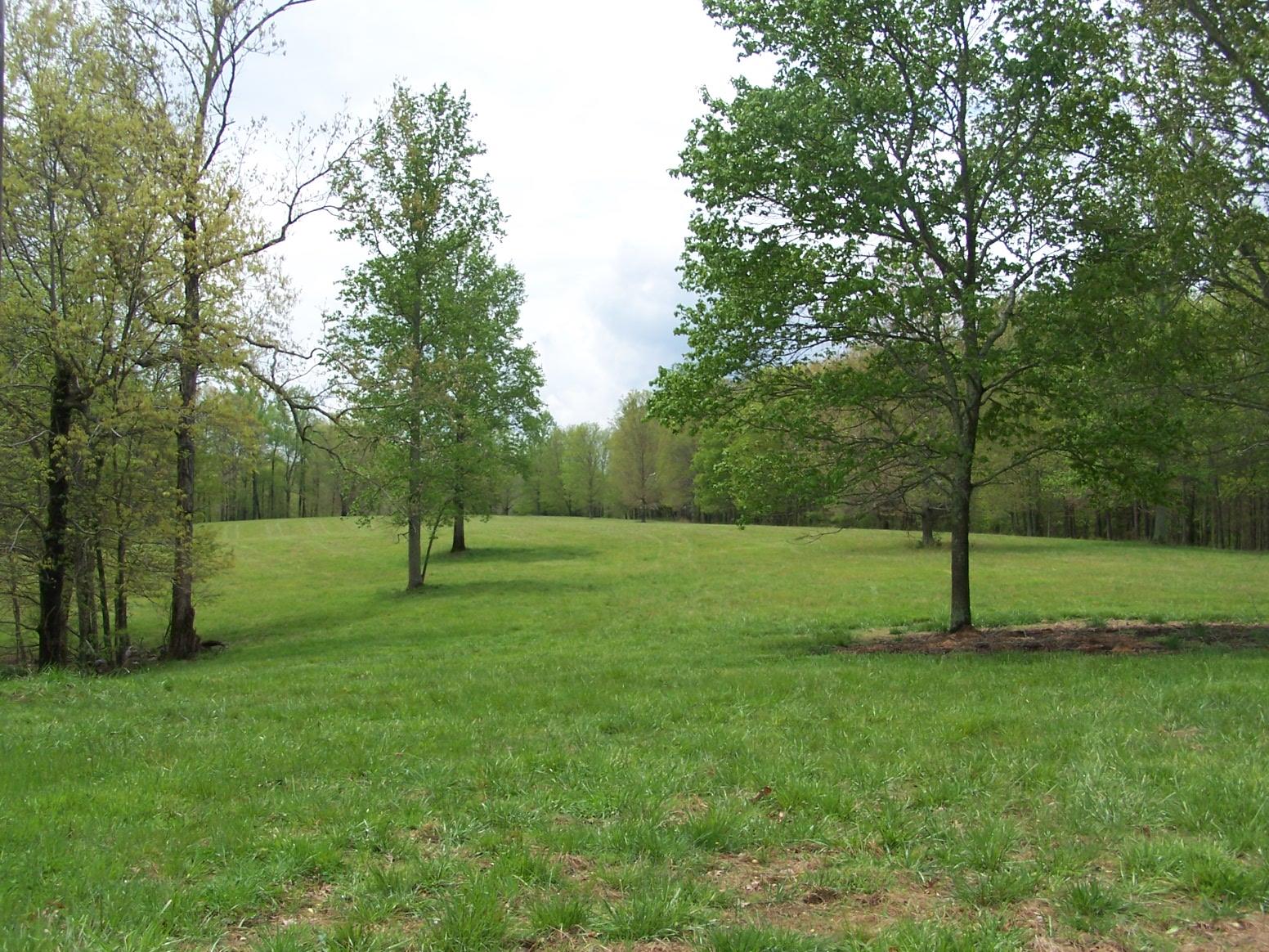 0 Jackson Hollow Road Goodspring, TN 38460 - Photo 1 of 29 a view of a park