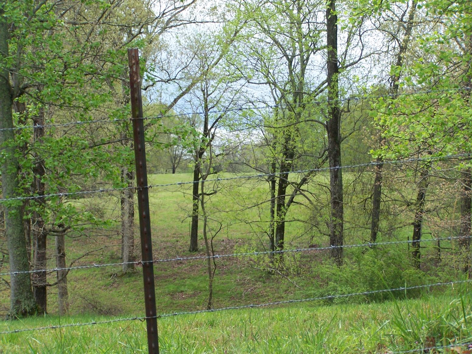 0 Jackson Hollow Road Goodspring, TN 38460 - Photo 2 of 29 a view of lake from a balcony
