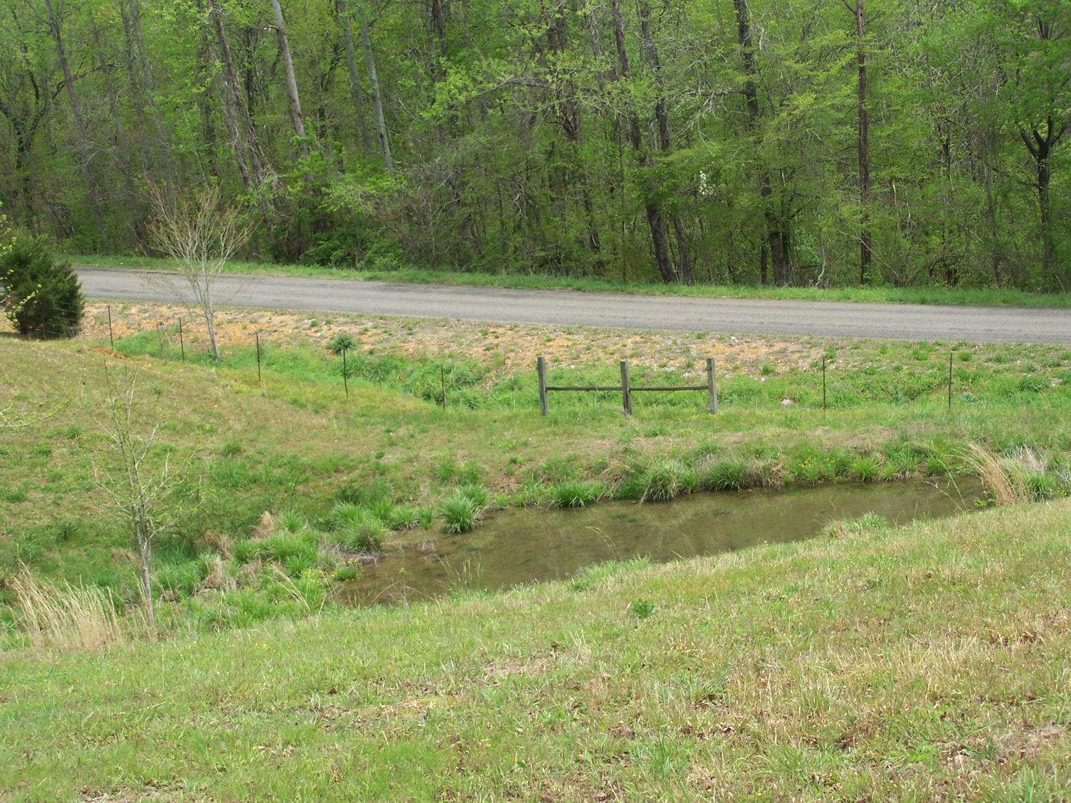 0 Jackson Hollow Road Goodspring, TN 38460 - Photo 11 of 29 a view of a lush green field