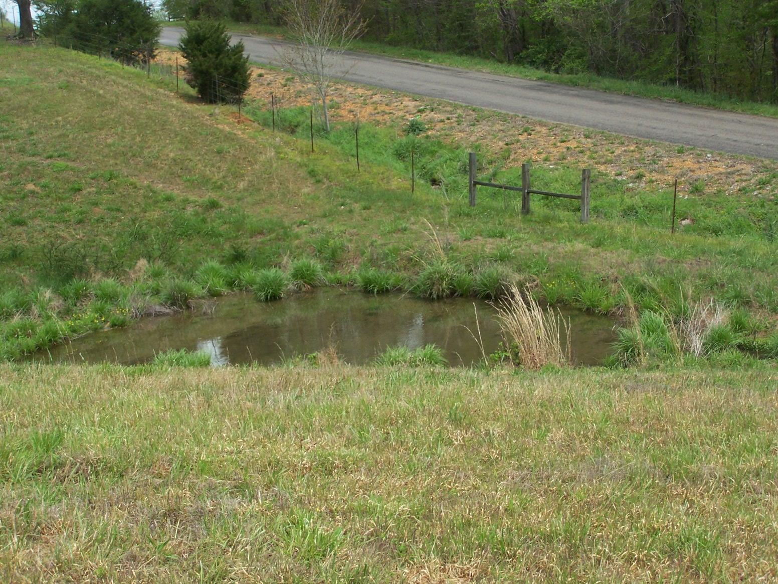0 Jackson Hollow Road Goodspring, TN 38460 - Photo 12 of 29 a view of a garden with a lake