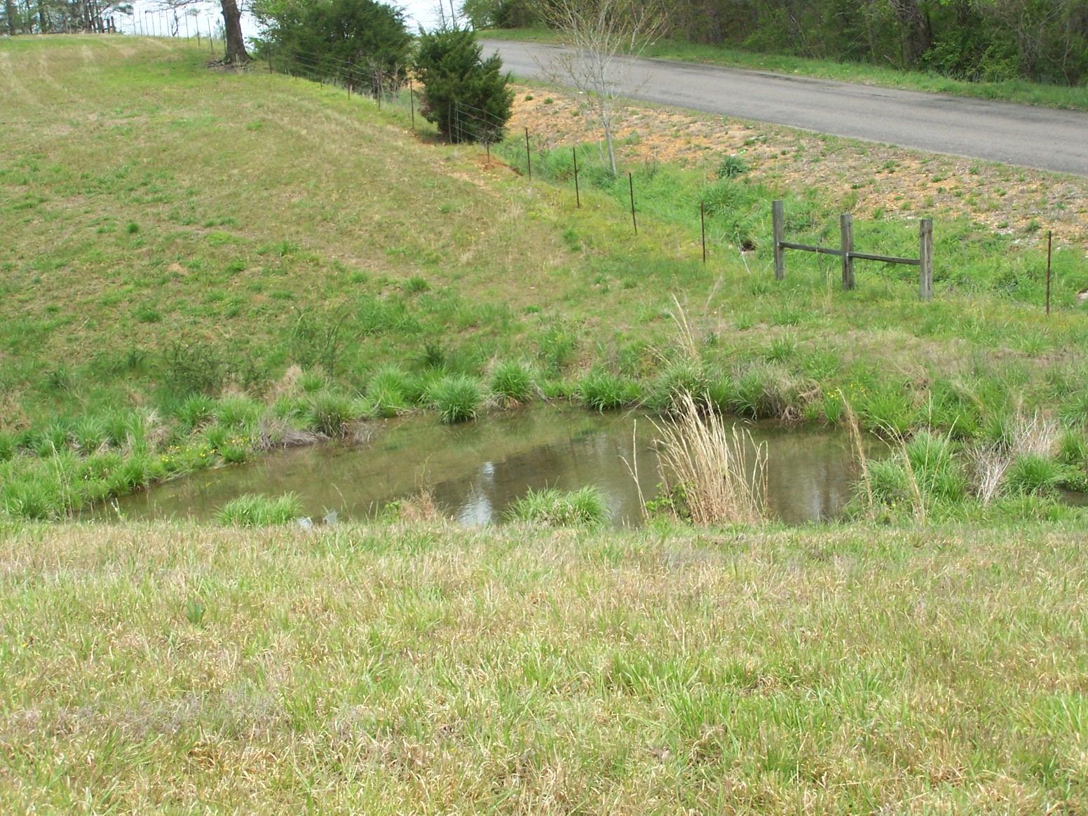 0 Jackson Hollow Road Goodspring, TN 38460 - Photo 13 of 29 a view of a garden from a lake