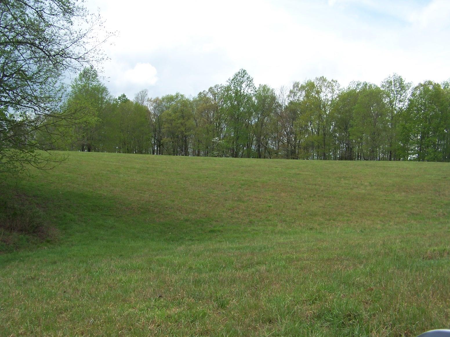 0 Jackson Hollow Road Goodspring, TN 38460 - Photo 14 of 29 a view of field and trees in the background