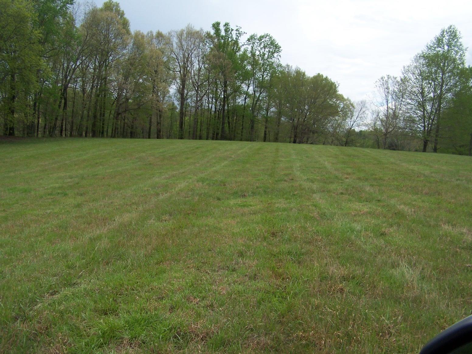 0 Jackson Hollow Road Goodspring, TN 38460 - Photo 15 of 29 a view of a green field with trees