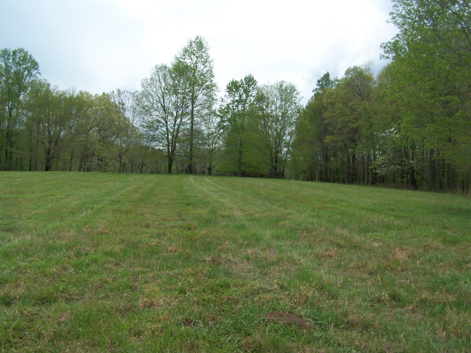 0 Jackson Hollow Road Goodspring, TN 38460 - Photo 16 of 29 a big yard with lots of green space