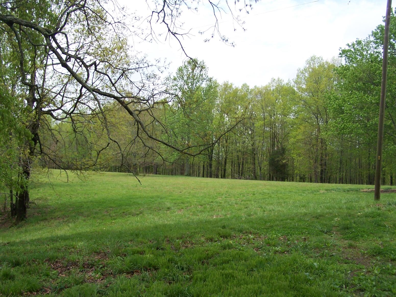 0 Jackson Hollow Road Goodspring, TN 38460 - Photo 3 of 29 a view of field with tall trees