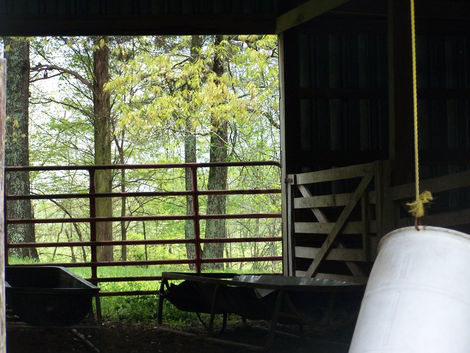 0 Jackson Hollow Road Goodspring, TN 38460 - Photo 26 of 29 a view of a balcony with chairs