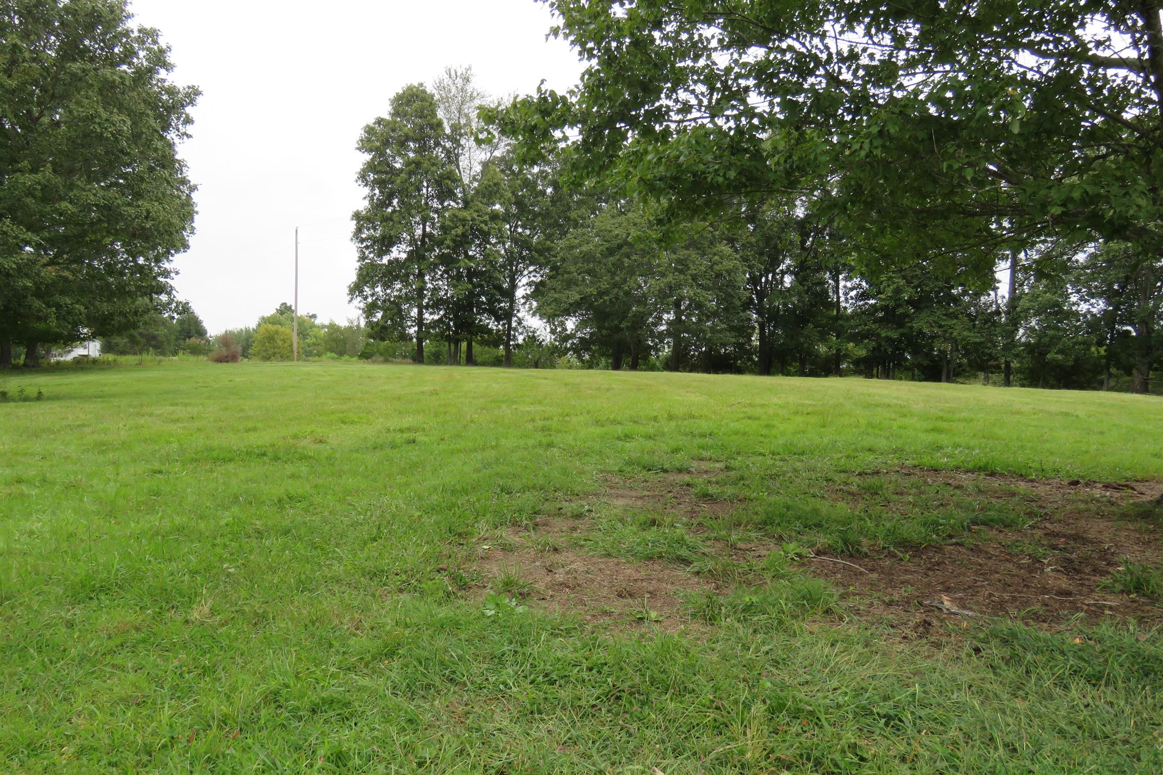 0 Jackson Hollow Road Goodspring, TN 38460 - Photo 29 of 29 a view of a big yard with large trees
