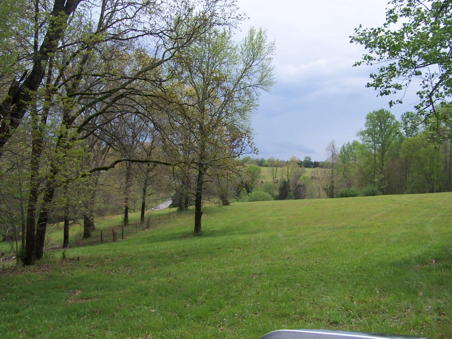 0 Jackson Hollow Road Goodspring, TN 38460 - Photo 4 of 29 a view of field with tall trees