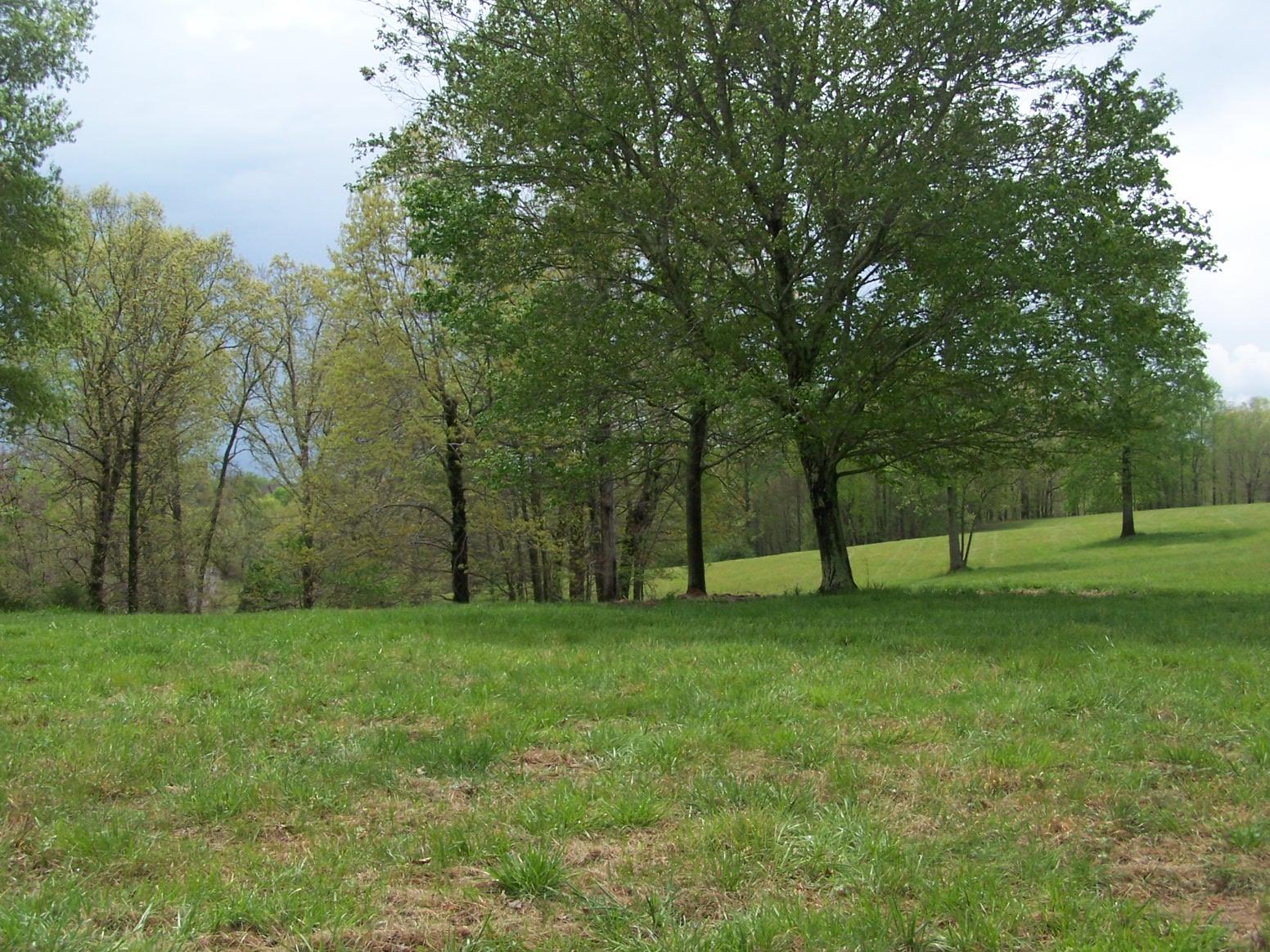 0 Jackson Hollow Road Goodspring, TN 38460 - Photo 6 of 29 a view of a grassy field with trees in the background