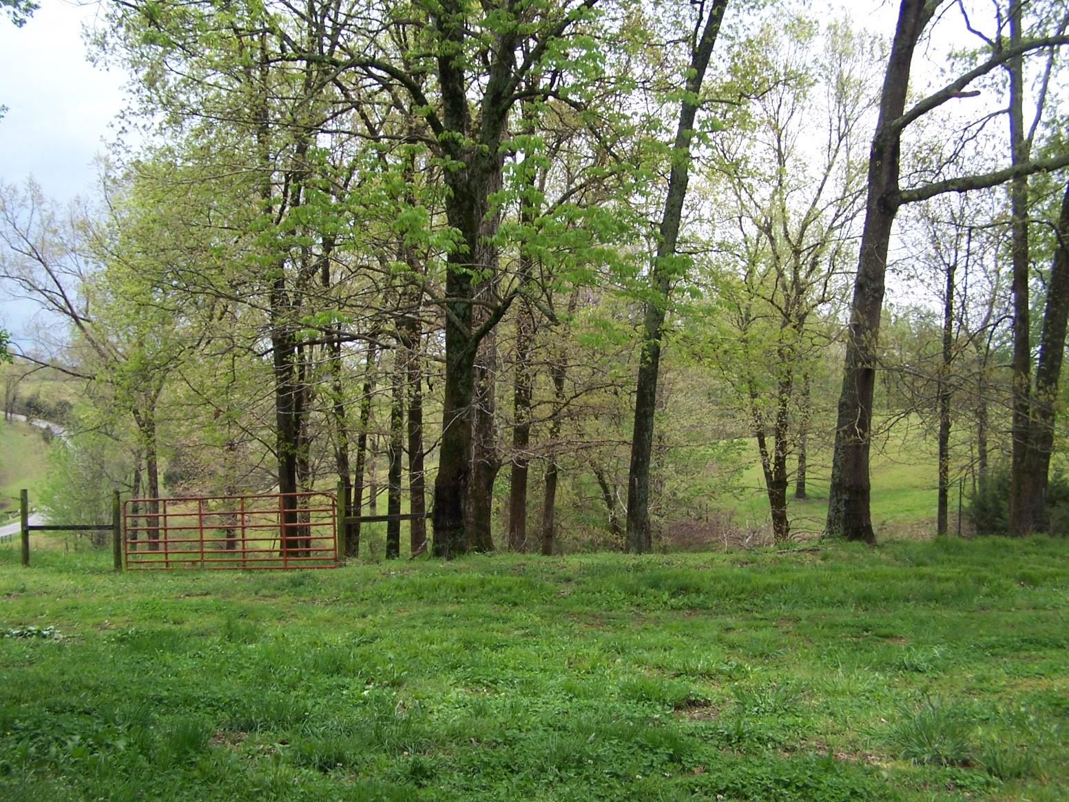 0 Jackson Hollow Road Goodspring, TN 38460 - Photo 8 of 29 a view of outdoor space with a garden