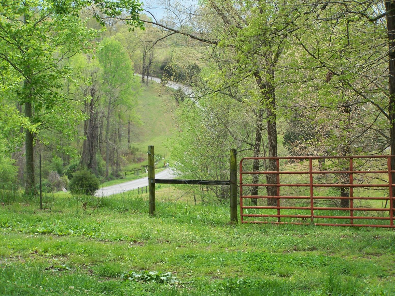 0 Jackson Hollow Road Goodspring, TN 38460 - Photo 9 of 29 a view of a backyard