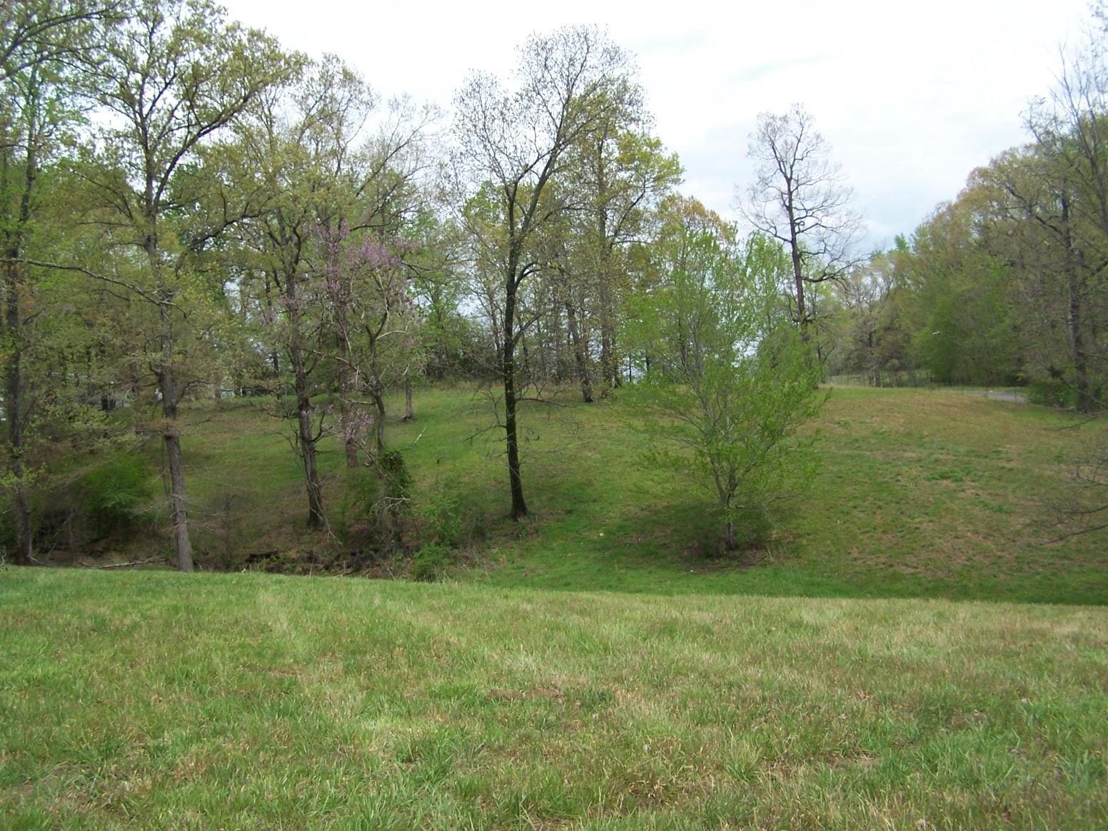 0 Jackson Hollow Road Goodspring, TN 38460 - Photo 10 of 29 a view of a backyard