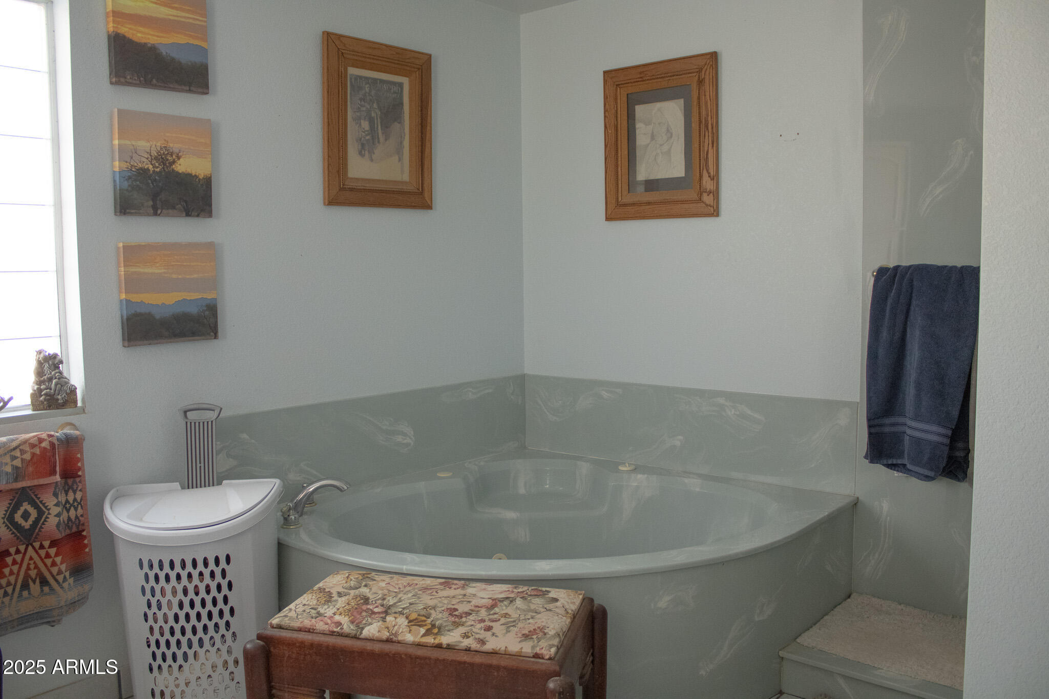 375 South Companero Road St. David, AZ 85630 - Photo 14 of 25 IMG_9966