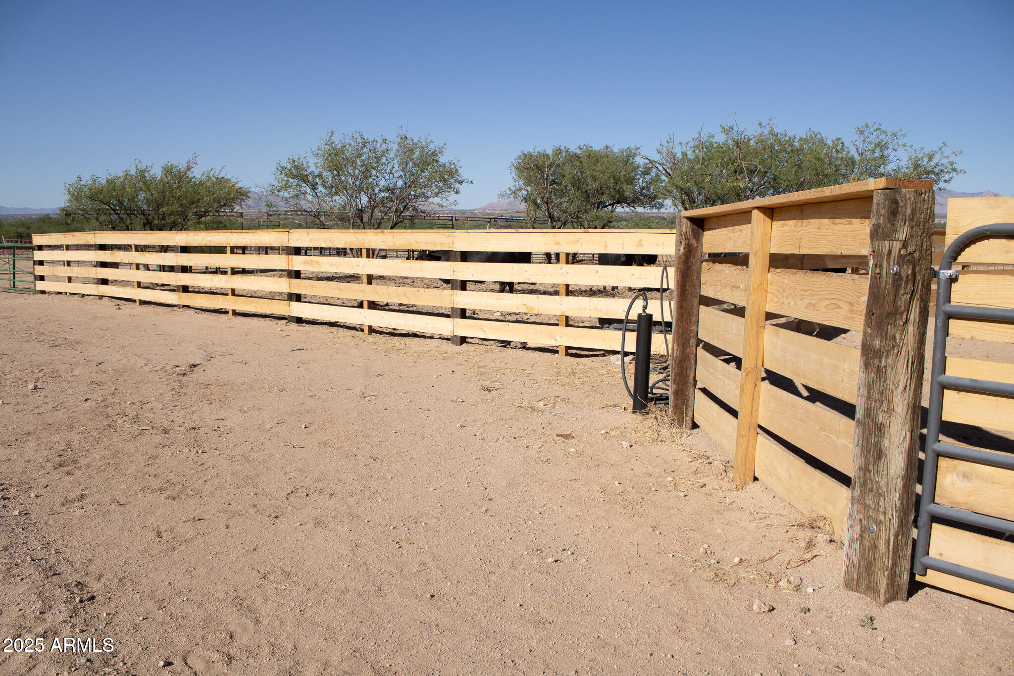 375 South Companero Road St. David, AZ 85630 - Photo 18 of 25 IMG_9895