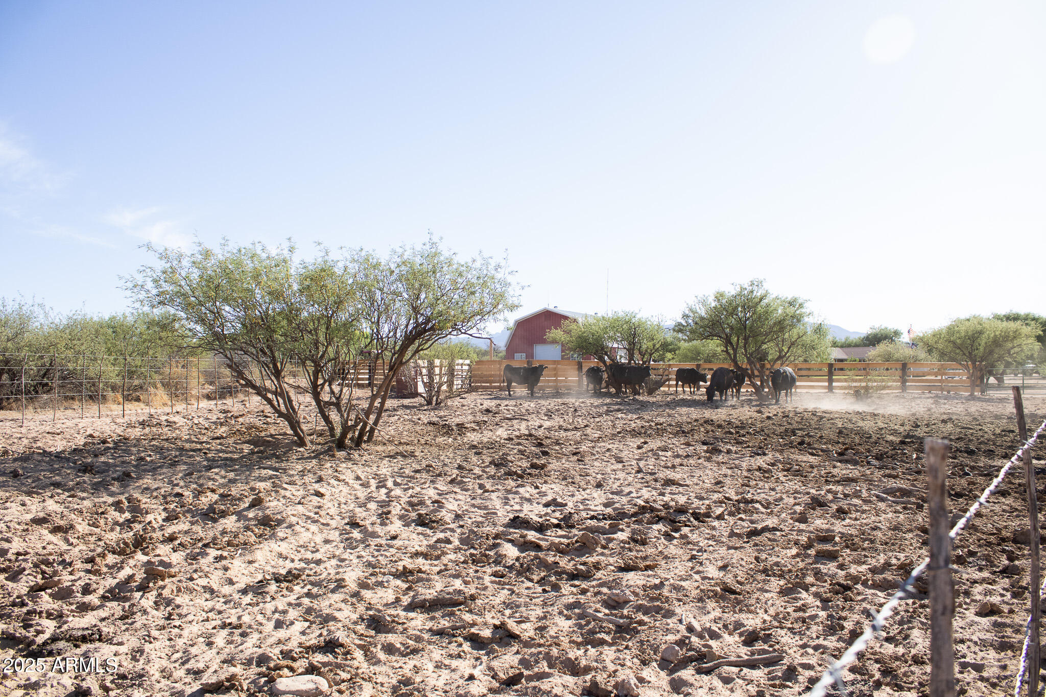 375 South Companero Road St. David, AZ 85630 - Photo 23 of 25 IMG_9884